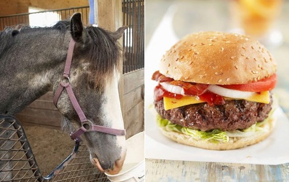 ��ţͷ������ ǧ��ţ���⺺�����ٻ�