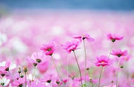 ���и�ҵ�ֹ���ʿ����־��¼