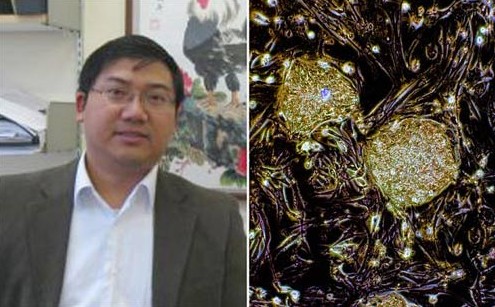 Ӣ3D��ӡ��ϸ�� �������������