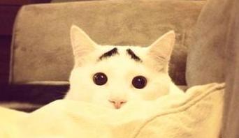 üëè��������:��������üë̫ϲ����!