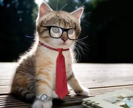 ��������������:��������ѧ����ְ������