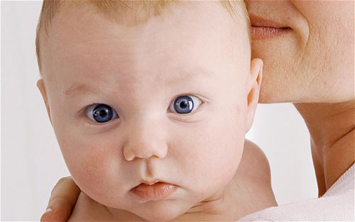 С��������Ӣ�������ɱ���ʮ����߷�