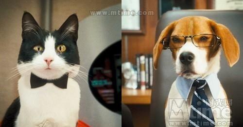 �����ߺ���è���Ը��Ա�