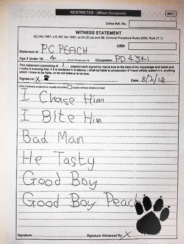 Ӣ�������������ȣ�ð�侯Ȯд��֤��