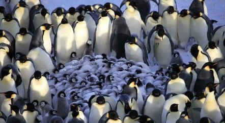 ���Ⱥ����һ������