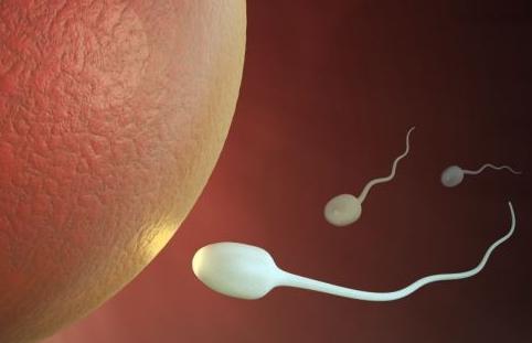 ���������ľ��������ϸ�