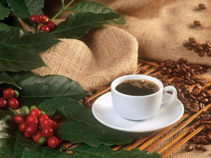 �������ܷ�ٽ�����