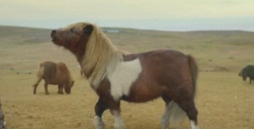 ���������ٶȹ���