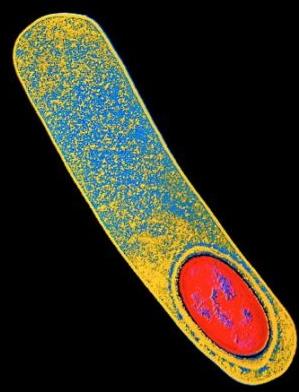 �޽��ƿ�����:������������Ҫ�����ǵ���