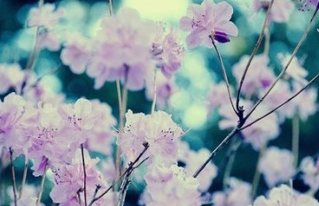 гɹر̬Ҫ