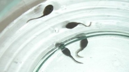 ����Ů�˿Ϳں�С��򽴳���� ���������Ͳ��ᶪ��