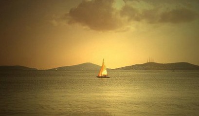 ���Ƕ���������������̻��ҵ�8��������