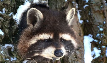 �����û��ע�⣺���ȵ���ܱ���ס�ˣ�