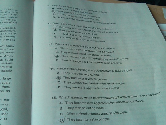 2013ְ<a href=http://www.hxen.com target=_blank class=infotextkey>Ӣ</a>A⣨12