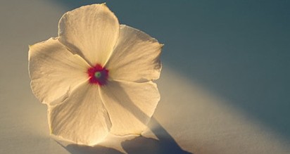 Ӣ���ļ��������ͽ���01�����������