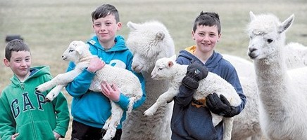 ������������Ӣ��ũ���������ձ����������