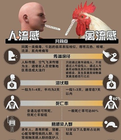 ����ȷ��4��H7N9�����в��� ȫ����7������2��