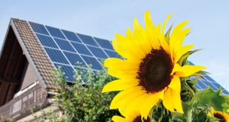 ��˼����ص����ﳣ��10��