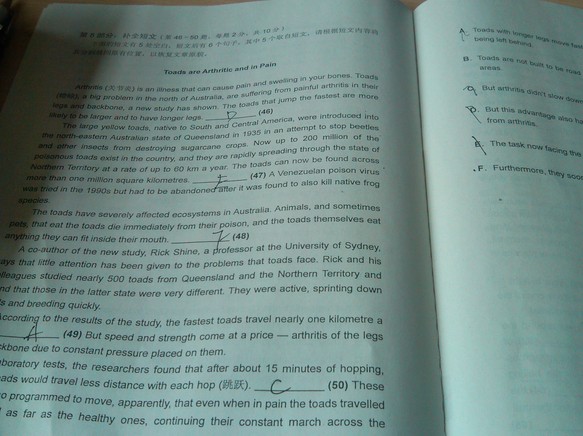 2013ְ<a href=http://www.hxen.com target=_blank class=infotextkey>Ӣ</a>A⣨12