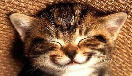 ����С��ʿ�������10���������Լ�¶��Ц��