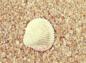 ѡ��Ӣ�������������ϵ�������