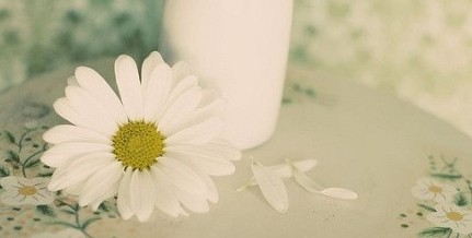 ��˫��Ѱ���������������ߵ�30������˲��