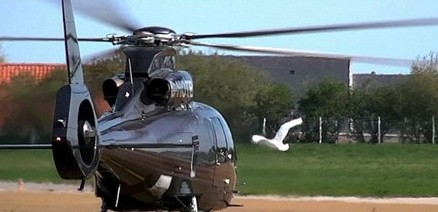 Ӣ���������ֱ���� һ�ο������Σ�հ���