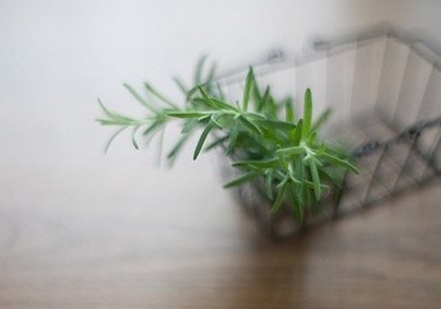 �����뷺������