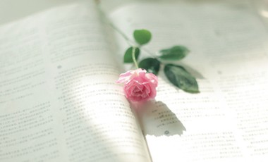 Ӣ���ļ��������Ĺ��ԣ������ص���Ӧ�Լ���