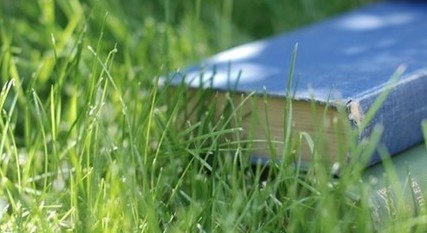 ���ܸı���һ����11�����⣺��������ش�