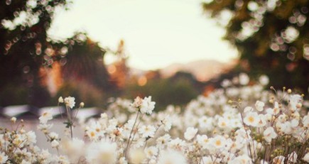 ˭��������Ҹ���10����ϰ��͵���Ҹ�
