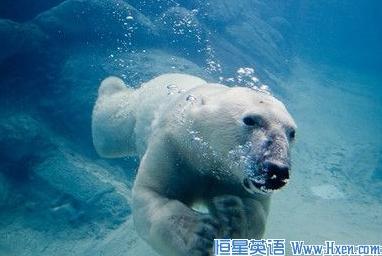 经济学人下载:前苏联的末途 The end of the Soviet Union: Walking dead