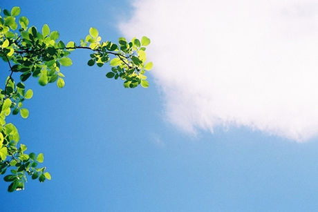 ��ѧӢ���������Ķ���ϰ����