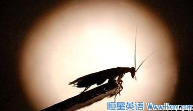 ����ѧ������:����ľ��� �ǳ����