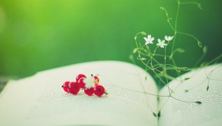 ѧ���¶���������һ����ϰ�ߵ�7��С��ʿ