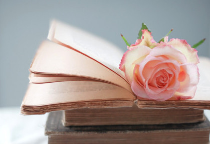 Ӣ����������Ӧ�Լ��ɽ���