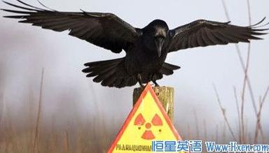 经济学人下载:核辐射与进化 辐射尘中幸免于难