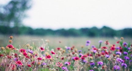 �ǻ۵�������8�䷢����ʡ������
