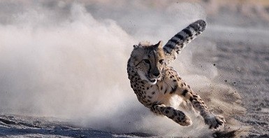 �Ա���˲ʱ����ר��