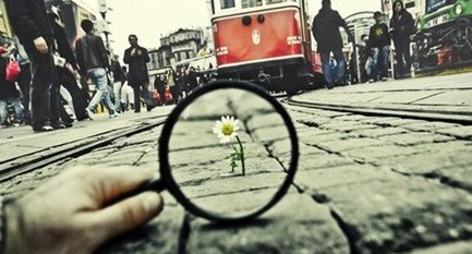 ÿ�춼��������7��С��