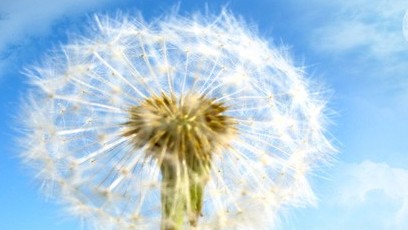 �и����ĵ�������