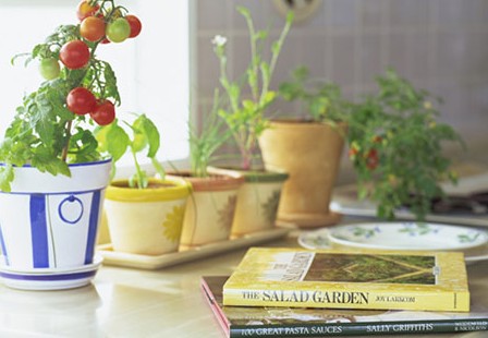 Ӣ���ļ�������ս��⼼��