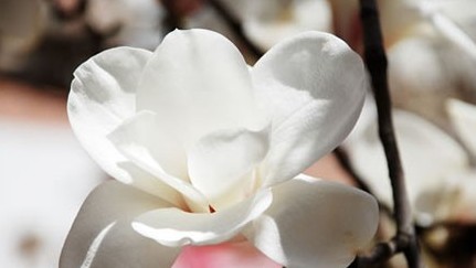 ���Ӣ���ļ�����������֪����