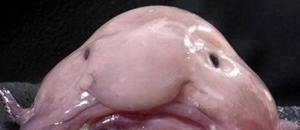 Ӣ��Ʊѡ����� �ˮ������