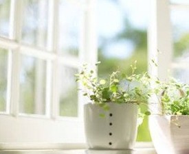 新生活:今天尝试做的30件新鲜事