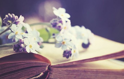 Ӣ���ļ������Ķ��������������˼·