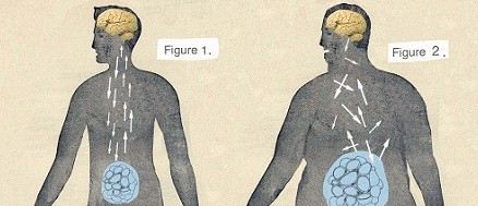 ����֢�ǲ��ǲ���