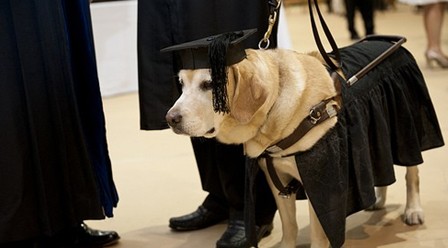 ���ѧλ�����ˣ��������˶ʿѧλ