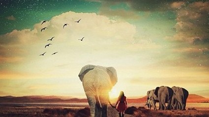 ��������ף�������7���п���ʵ