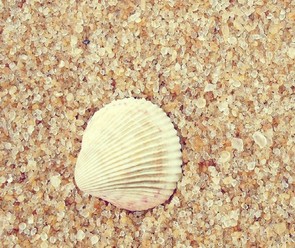 ѡ��Ӣ�������������ϵ�������